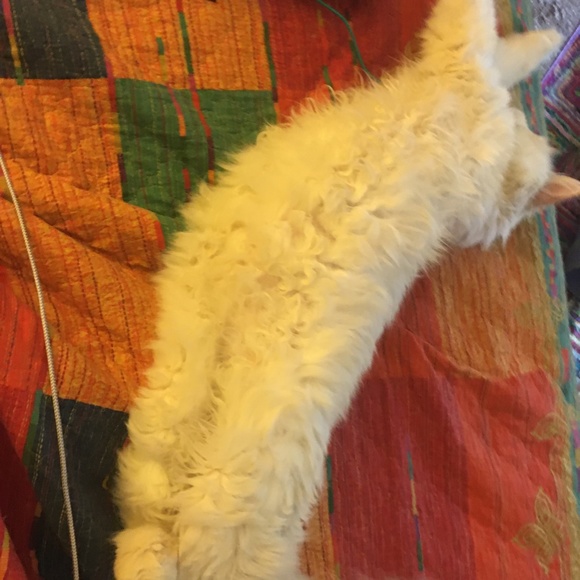 Meet your Posher, Redmontster. - Picture 14 of 15